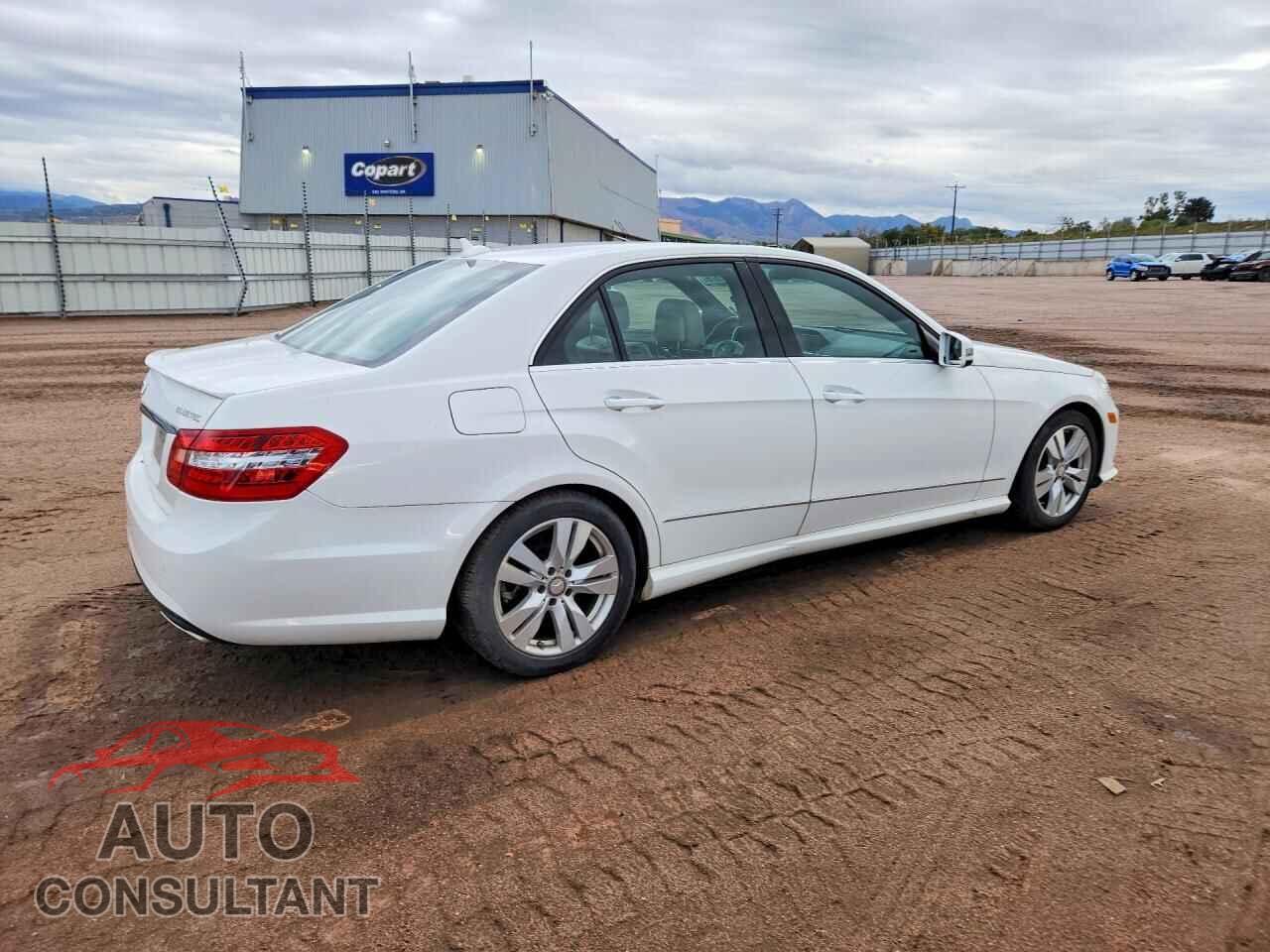 MERCEDES-BENZ E-CLASS 2013 - WDDHF2EB7DA735734
