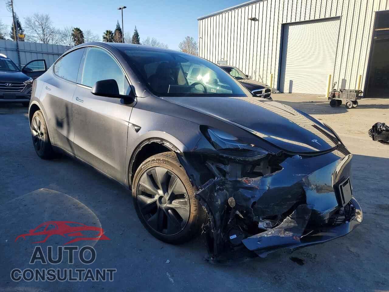 TESLA MODEL Y 2024 - 7SAYGDEE1RF117596