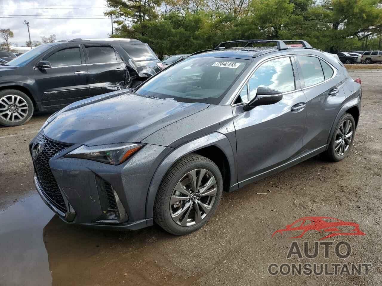 LEXUS UX 250H PR 2024 - JTHR9JBHXR2072460