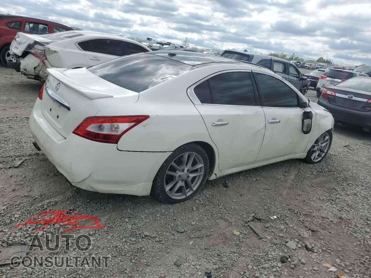 NISSAN MAXIMA 2011 - 1N4AA5AP1BC868428