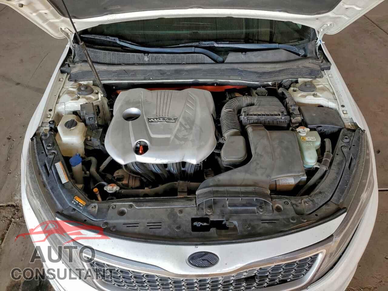 KIA OPTIMA 2014 - KNAGN4AD9E5070984