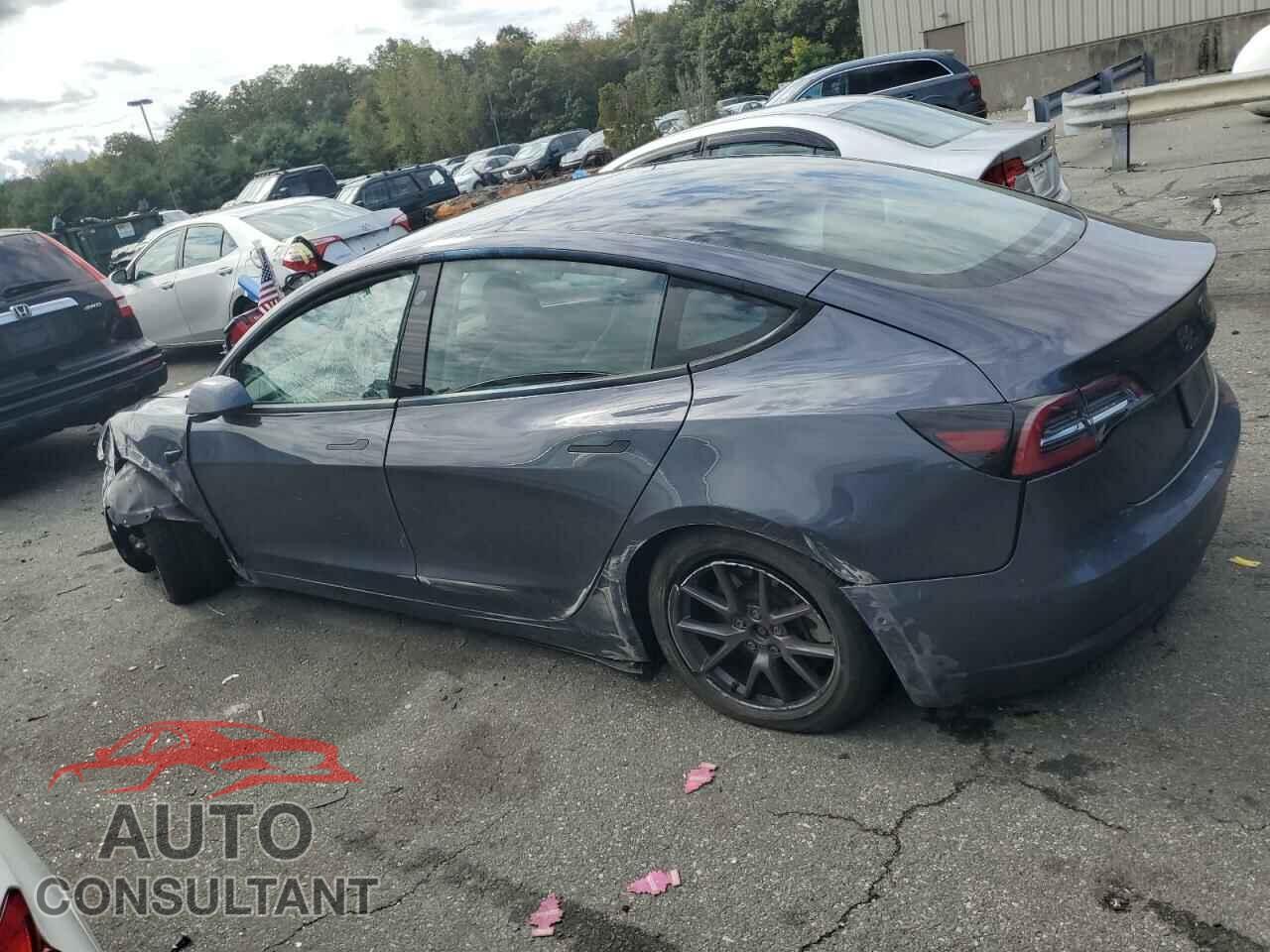 TESLA MODEL 3 2022 - 5YJ3E1EB8NF182876