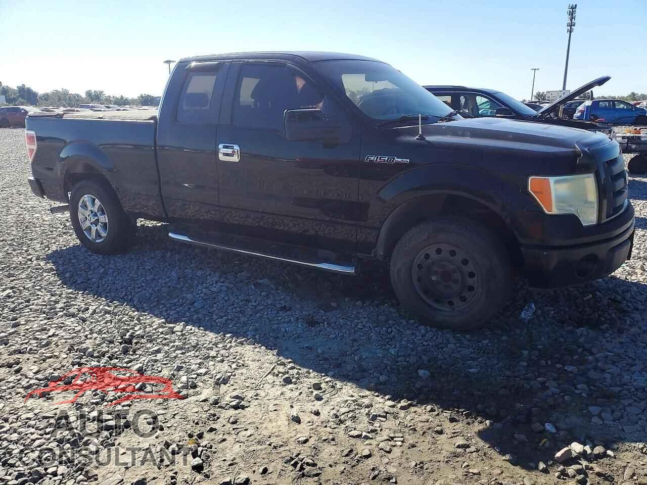 FORD F150 2009 - 1FTRX12W49FA50792