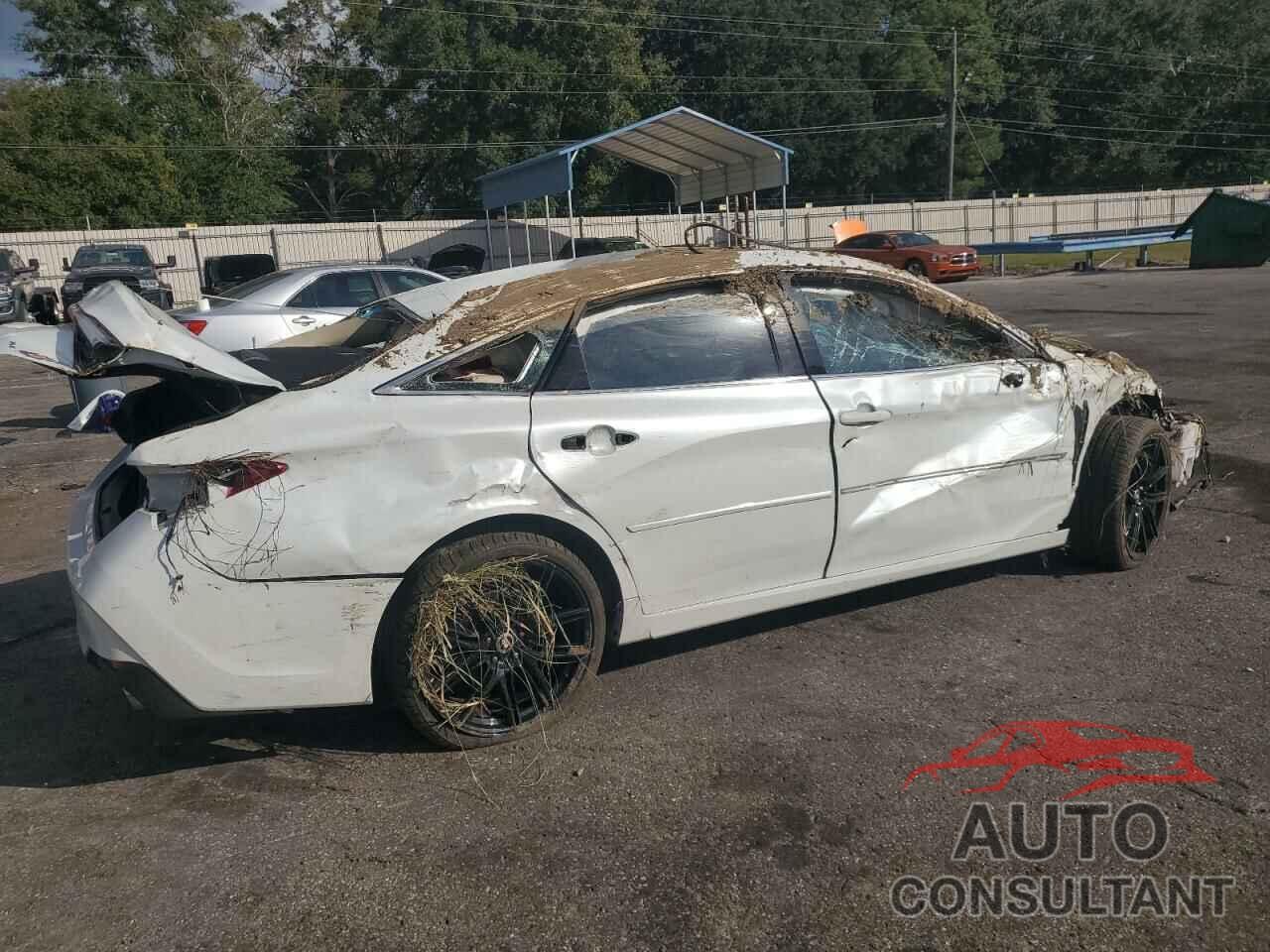 TOYOTA AVALON 2019 - 4T1BZ1FB6KU011234