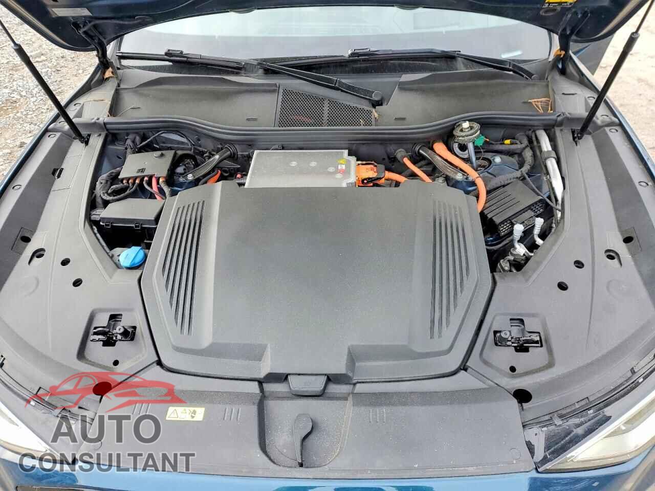 AUDI E-TRON 2021 - WA1VAAGE9MB017152