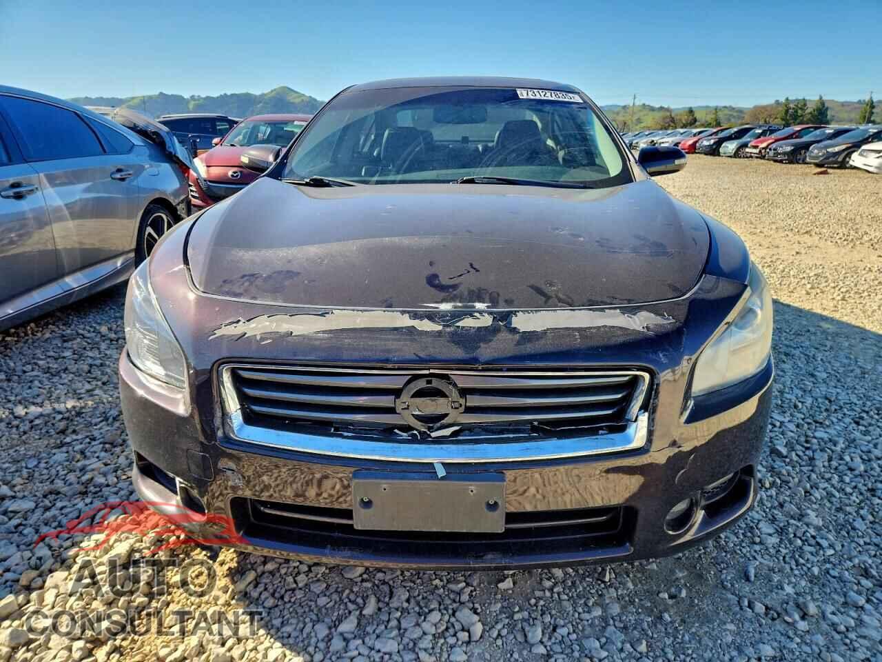 NISSAN MAXIMA 2013 - 1N4AA5AP1DC804845