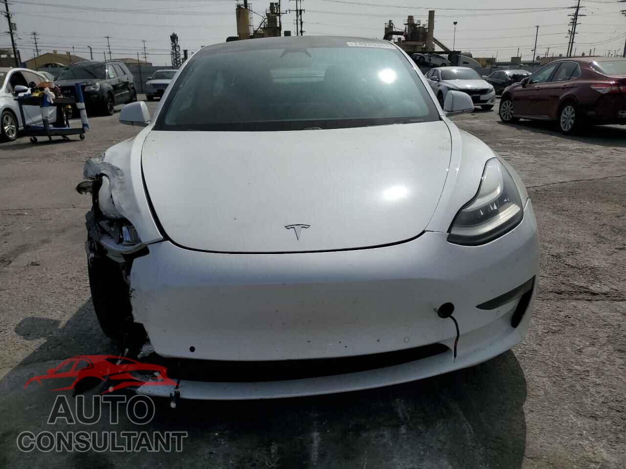 TESLA MODEL 3 2019 - 5YJ3E1EA3KF431233