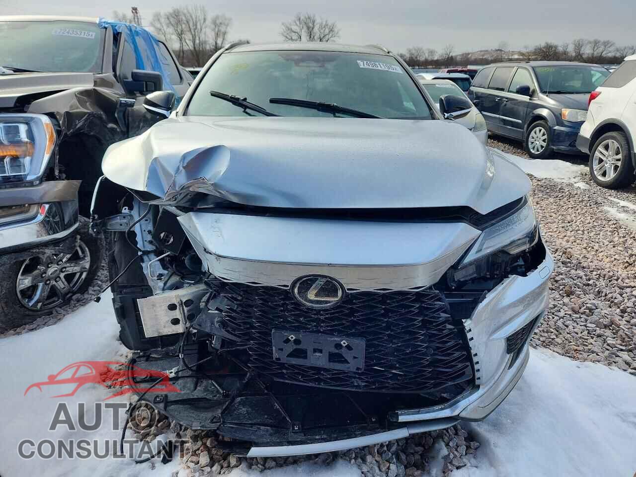 LEXUS RX350 2023 - 2T2BAMCA5PC009368