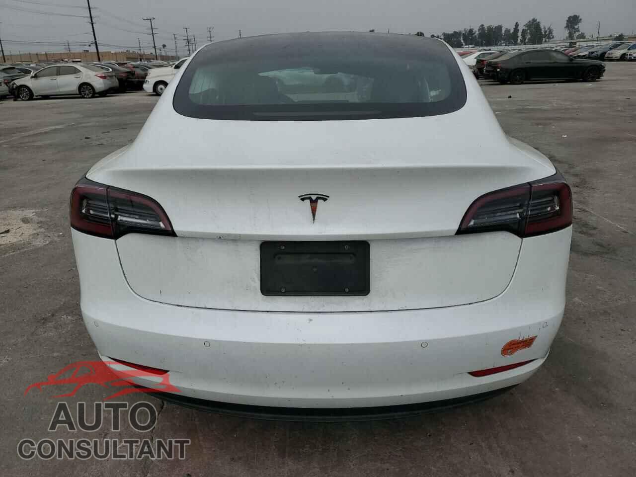 TESLA MODEL 3 2019 - 5YJ3E1EA3KF431233