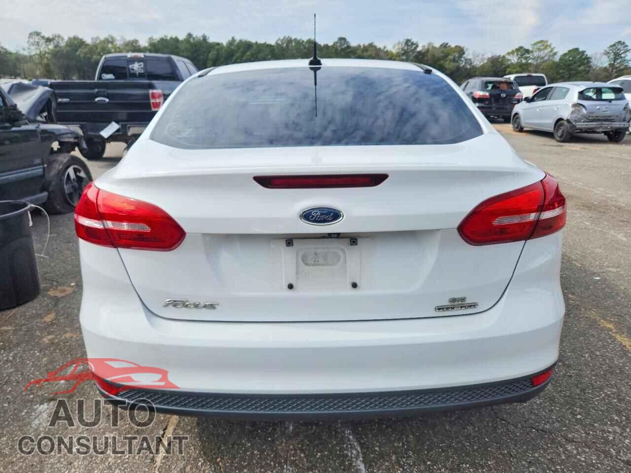 FORD FOCUS 2016 - 1FADP3F23GL376505