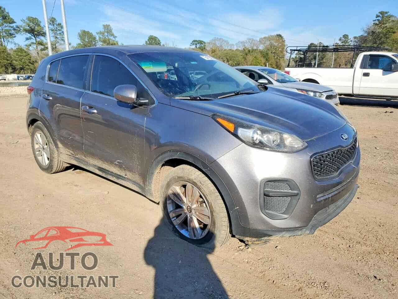 KIA SPORTAGE 2017 - KNDPM3AC5H7244792
