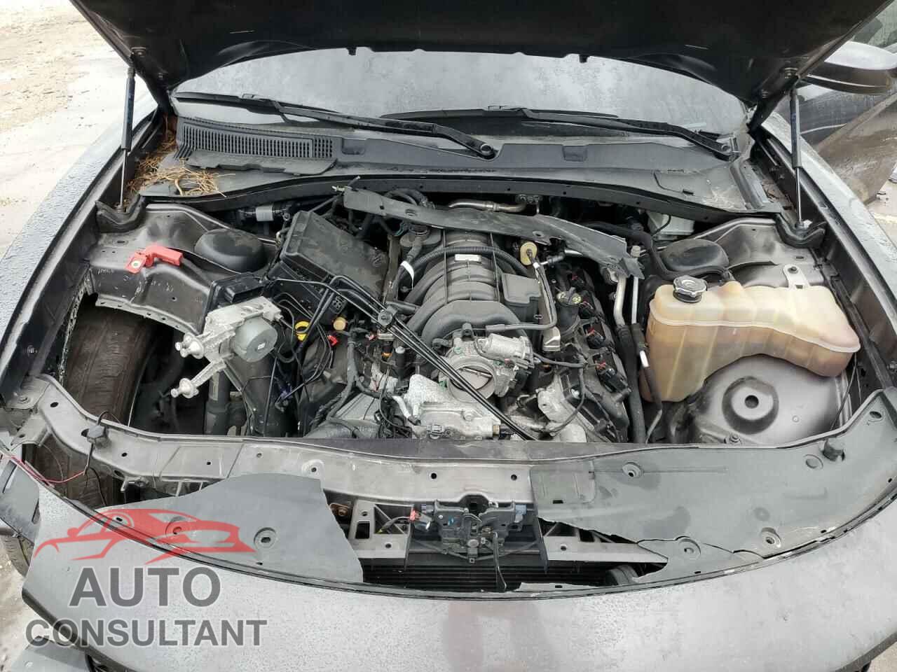 DODGE CHARGER 2019 - 2C3CDXCT2KH570147