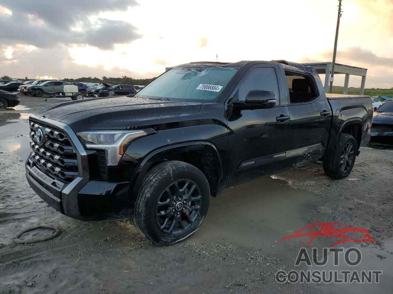 TOYOTA TUNDRA 2023 - 5TFNA5DBXPX066472