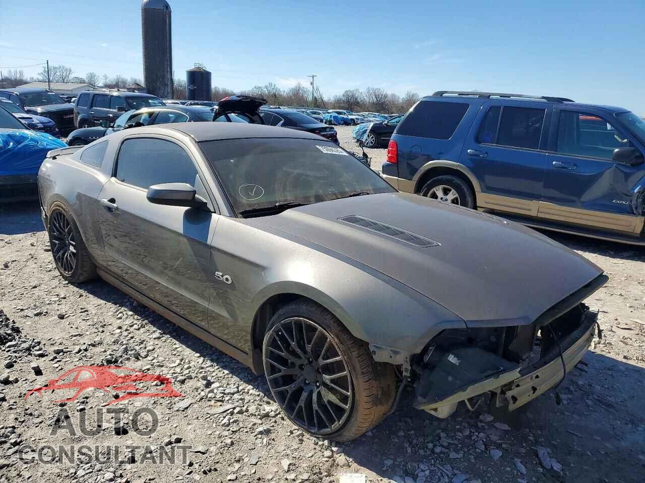 FORD MUSTANG 2014 - 1ZVBP8CF5E5244561