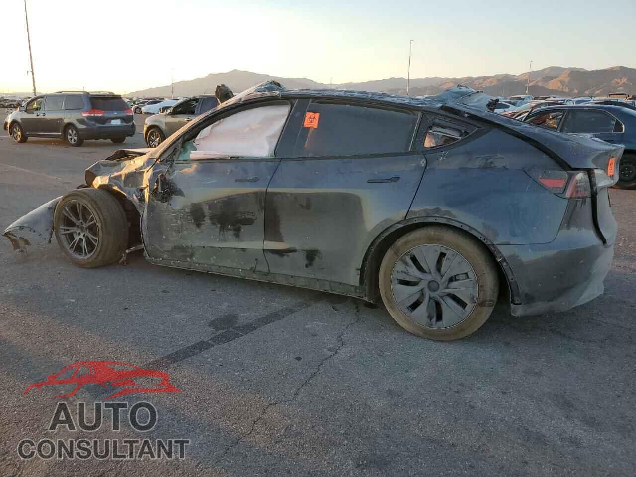 TESLA MODEL Y 2024 - 7SAYGDEE1RF132762
