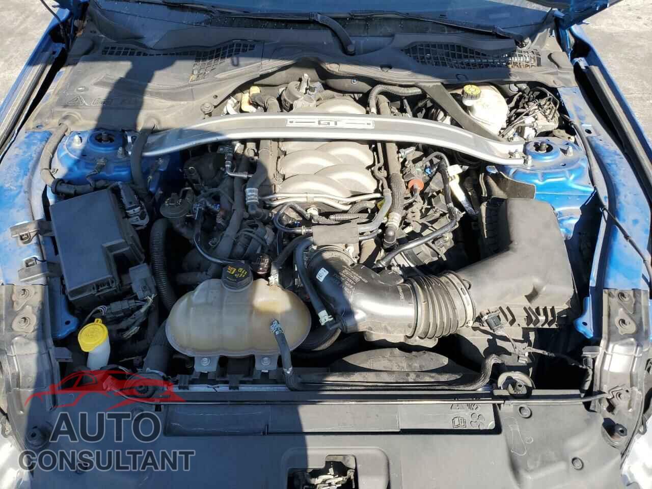 FORD MUSTANG 2019 - 1FA6P8CFXK5148351