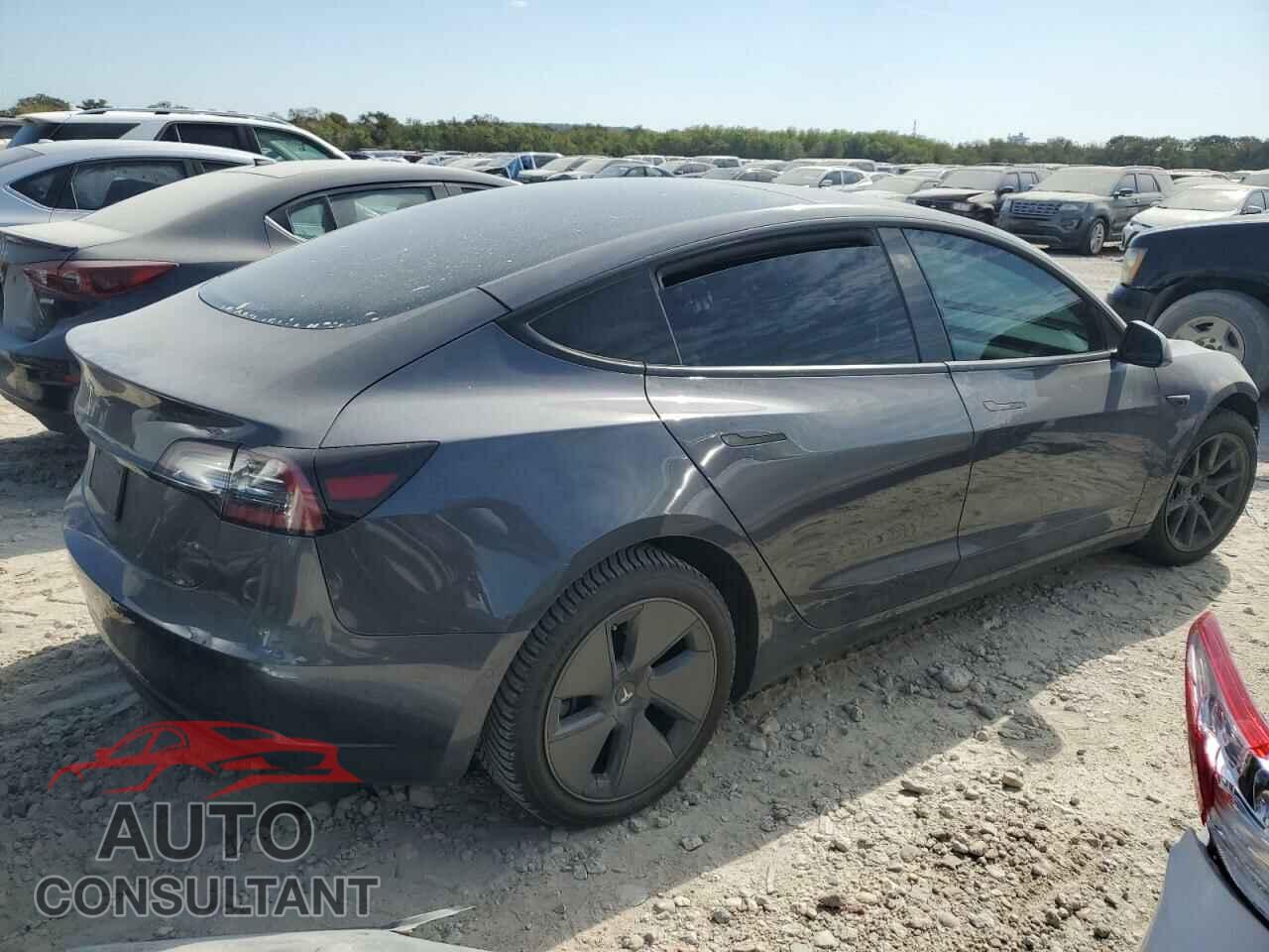 TESLA MODEL 3 2021 - 5YJ3E1EA0MF976700