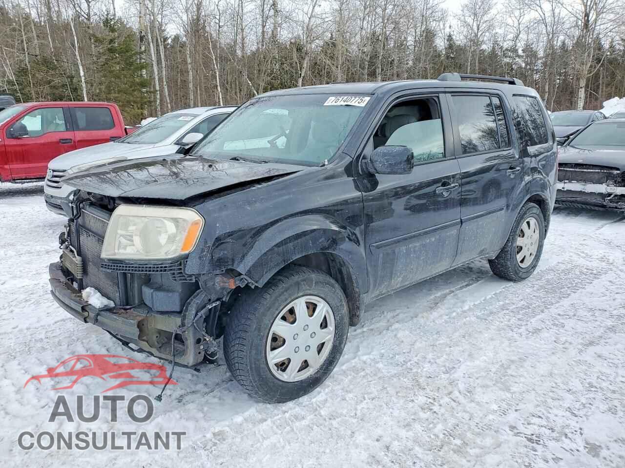 HONDA PILOT 2009 - 5FNYF48459B503232