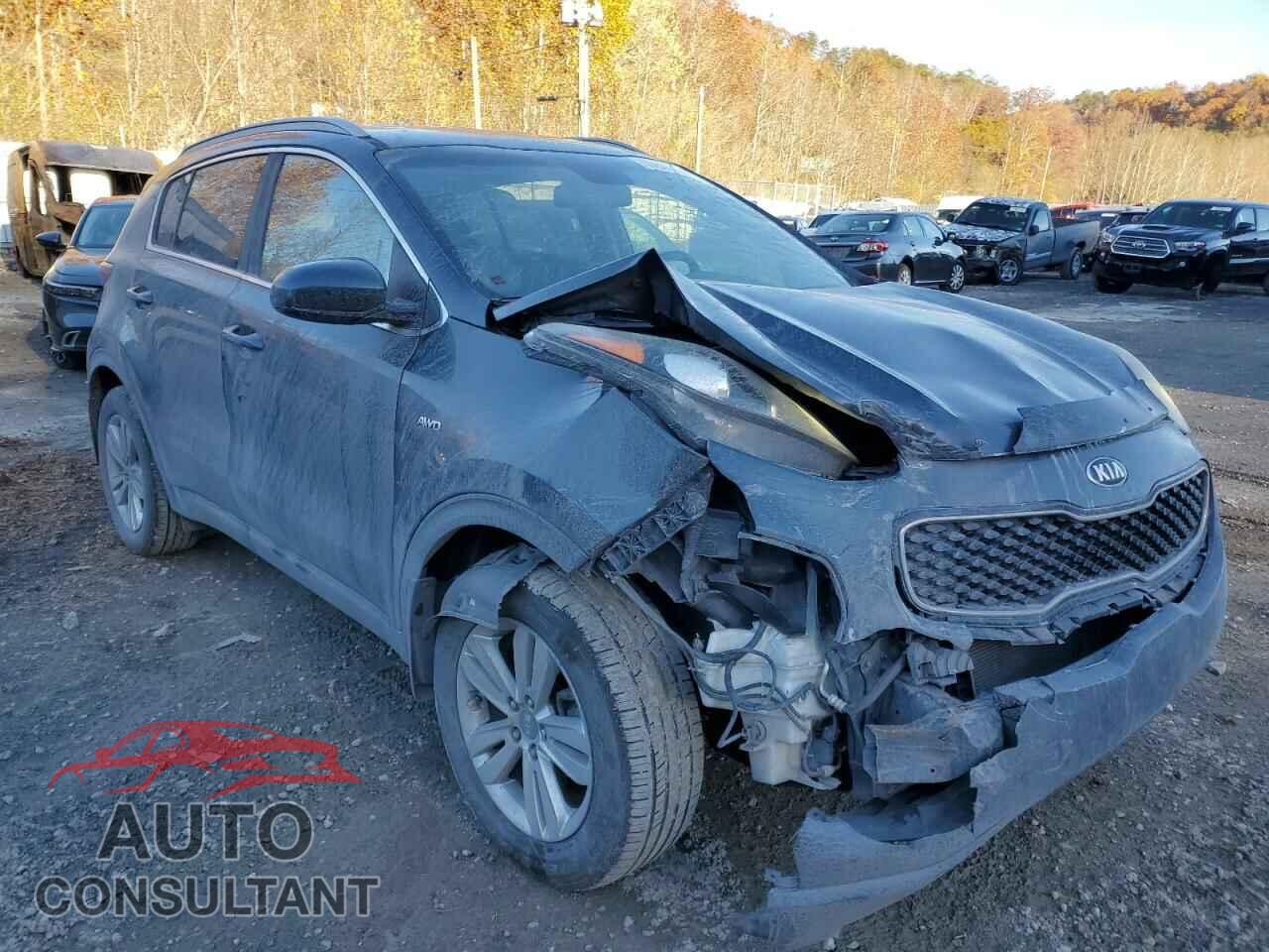 KIA SPORTAGE 2017 - KNDPMCAC5H7113958