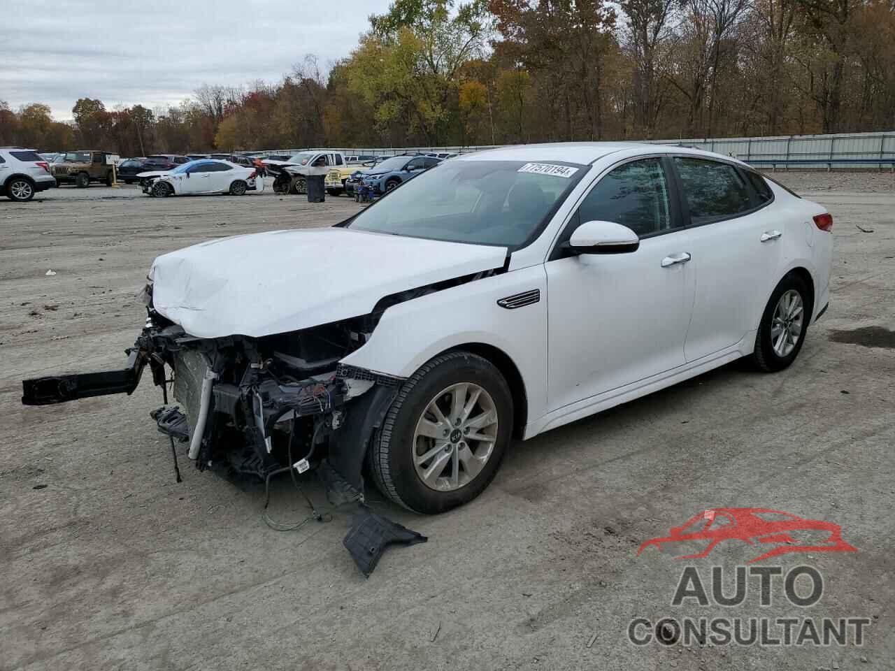 KIA OPTIMA 2019 - 5XXGT4L30KG281527