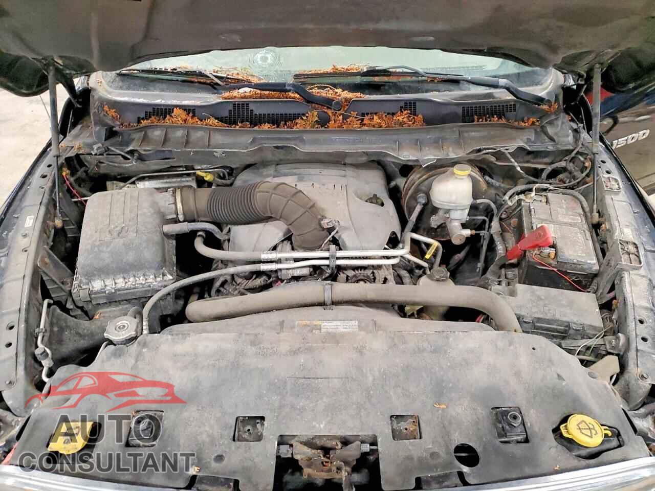 DODGE RAM 1500 2012 - 1C6RD7KTXCS266900