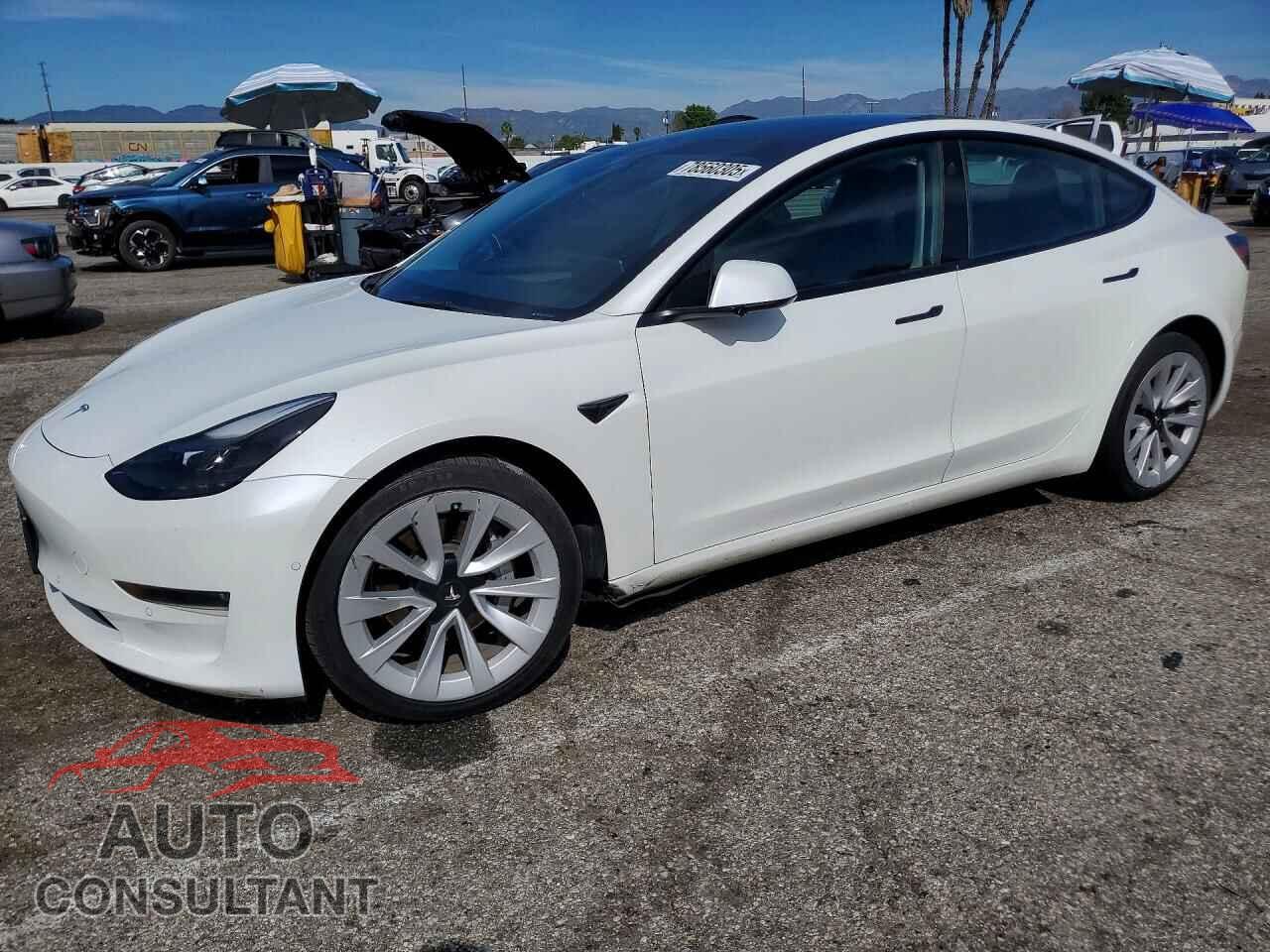 TESLA MODEL 3 2022 - 5YJ3E1EB8NF192565