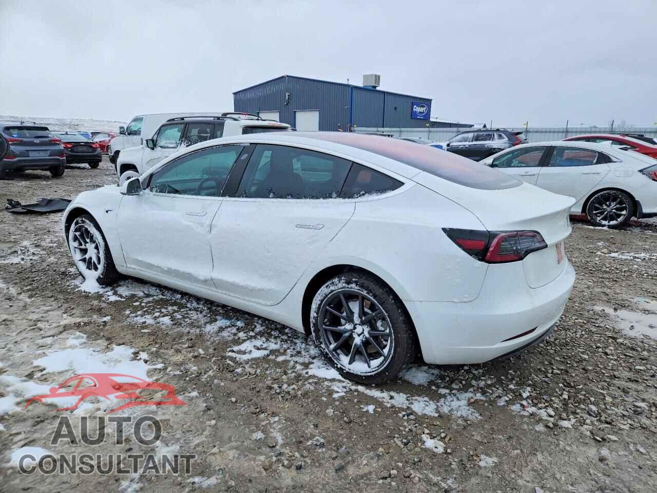 TESLA MODEL 3 2017 - 5YJ3E1EA4HF001543