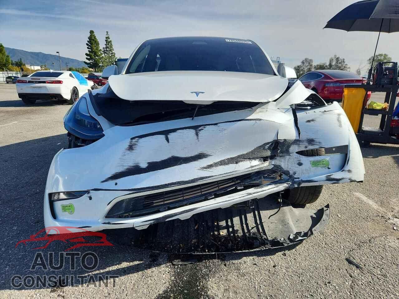 TESLA MODEL Y 2023 - 7SAYGDEF7PF751100