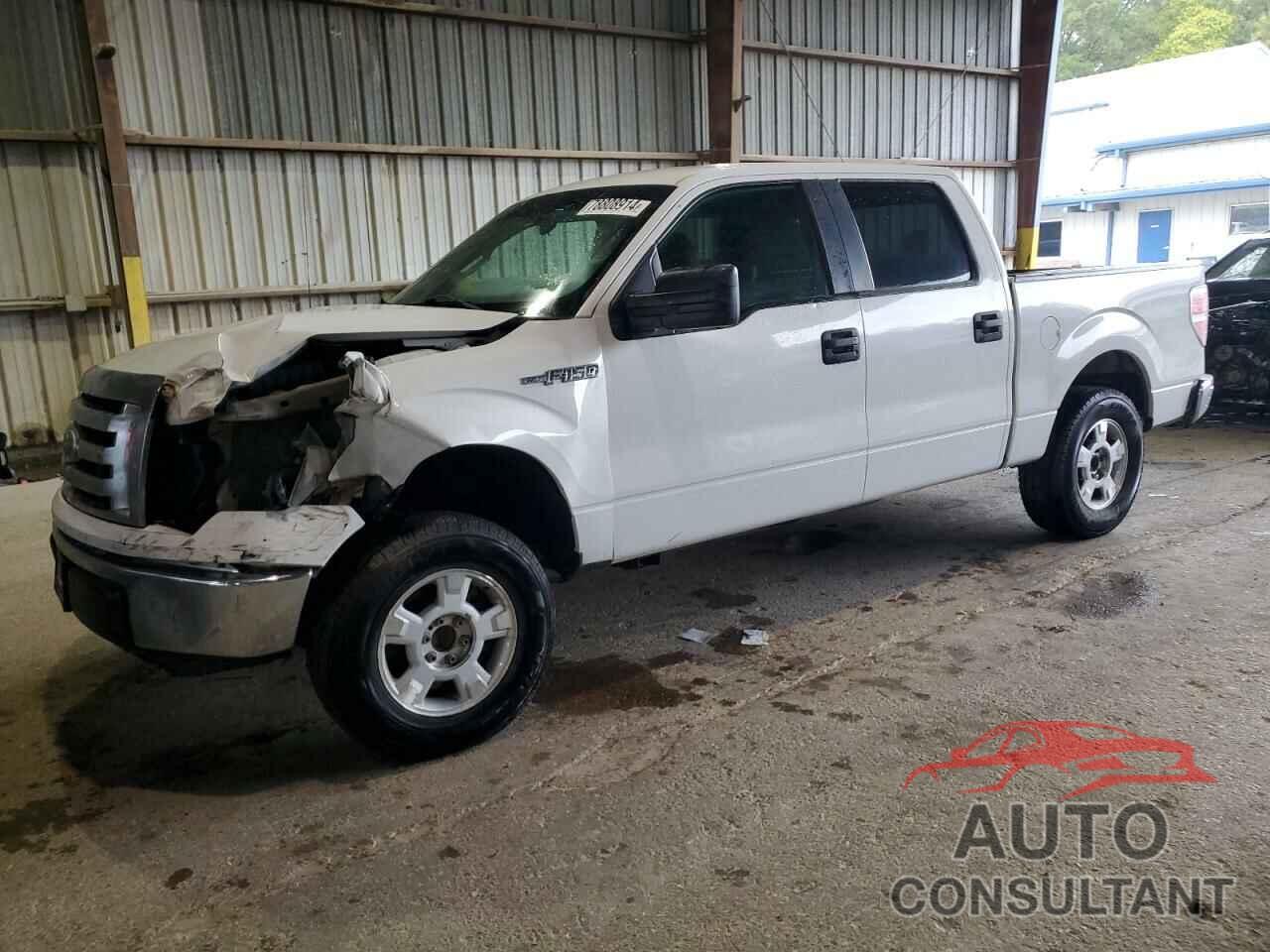 FORD F-150 2010 - 1FTEW1C8XAFC07022