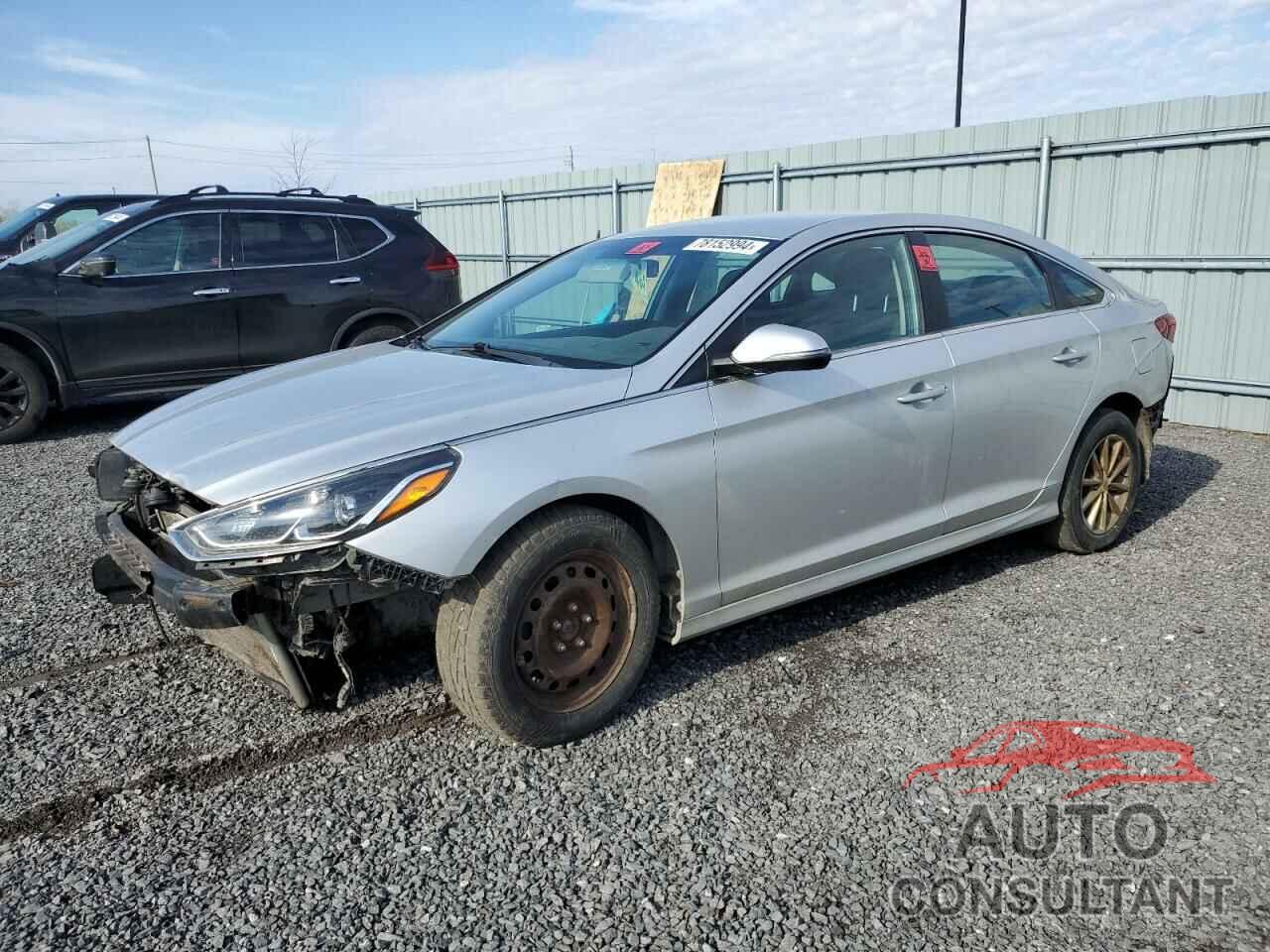 HYUNDAI SONATA 2019 - 5NPE24AF8KH729881