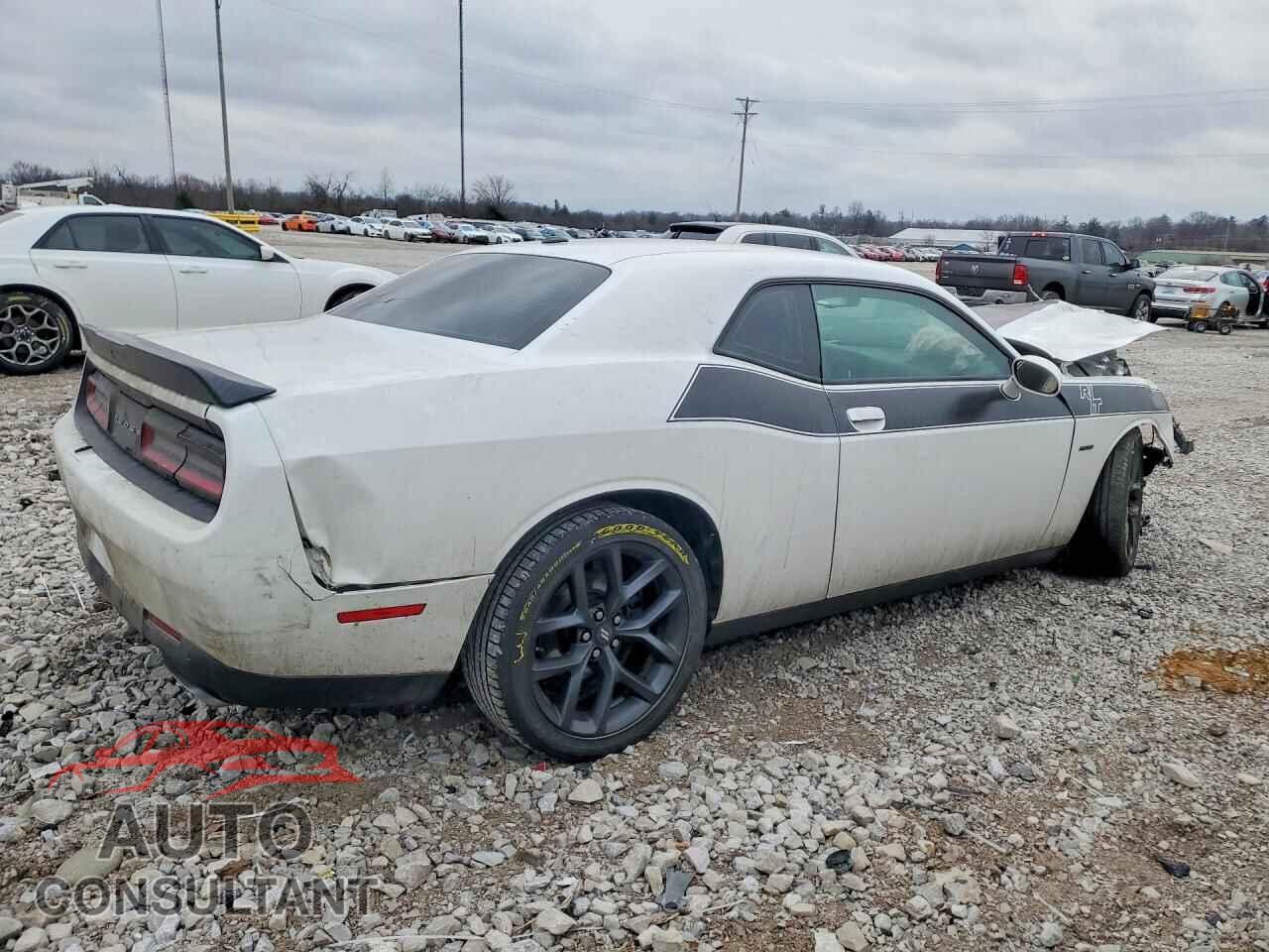 DODGE CHALLENGER 2019 - 2C3CDZBT6KH677067
