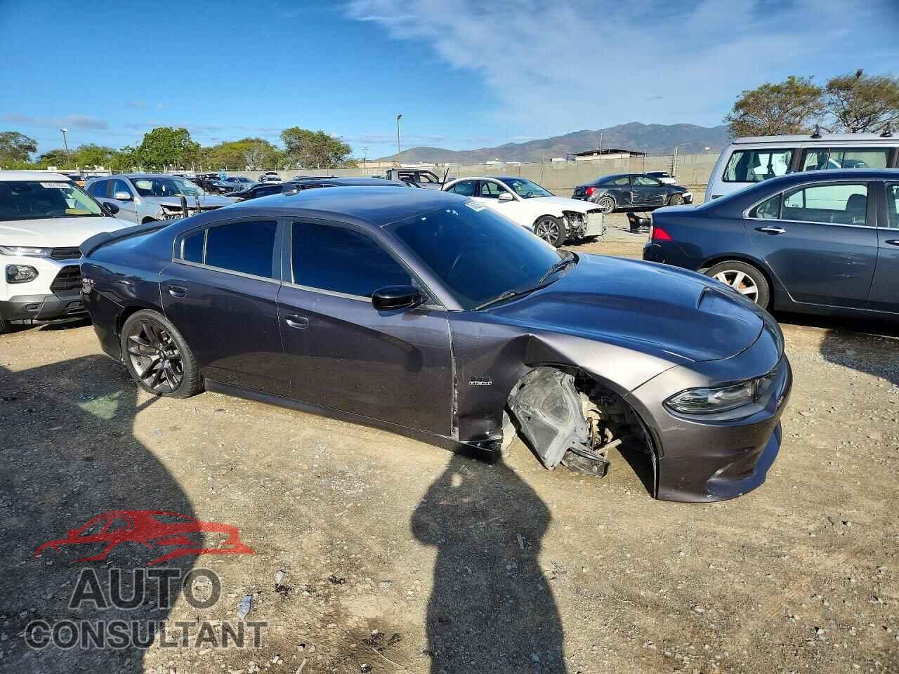 DODGE CHARGER 2019 - 2C3CDXCT0KH599520