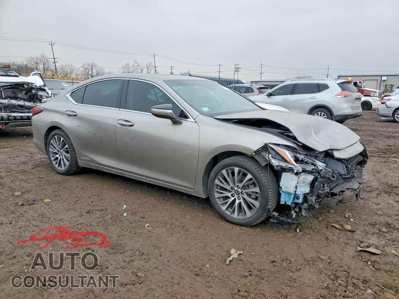 LEXUS ES300 2020 - 58AD21B11LU011596