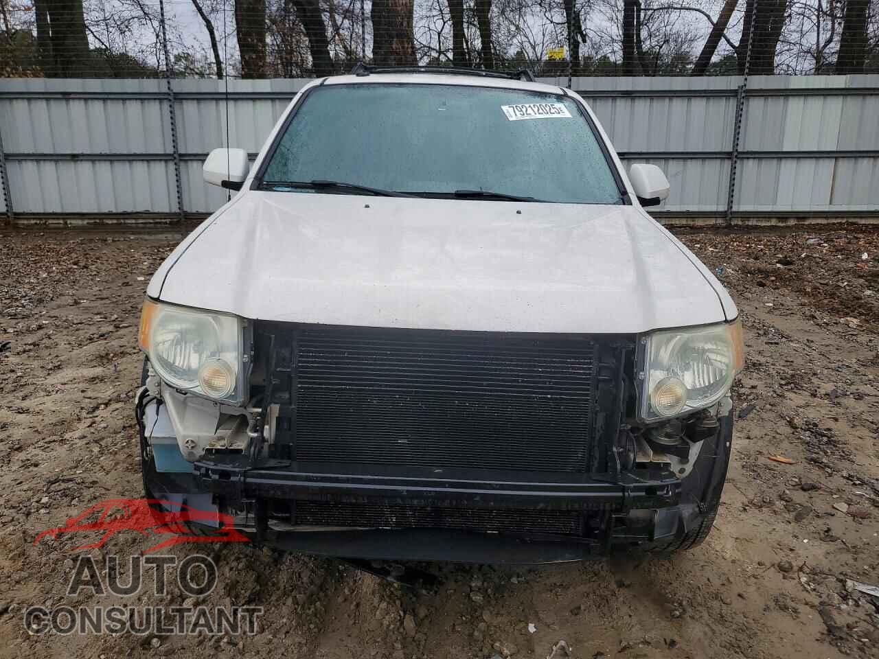 FORD ESCAPE 2010 - 1FMCU0EG8AKB77744