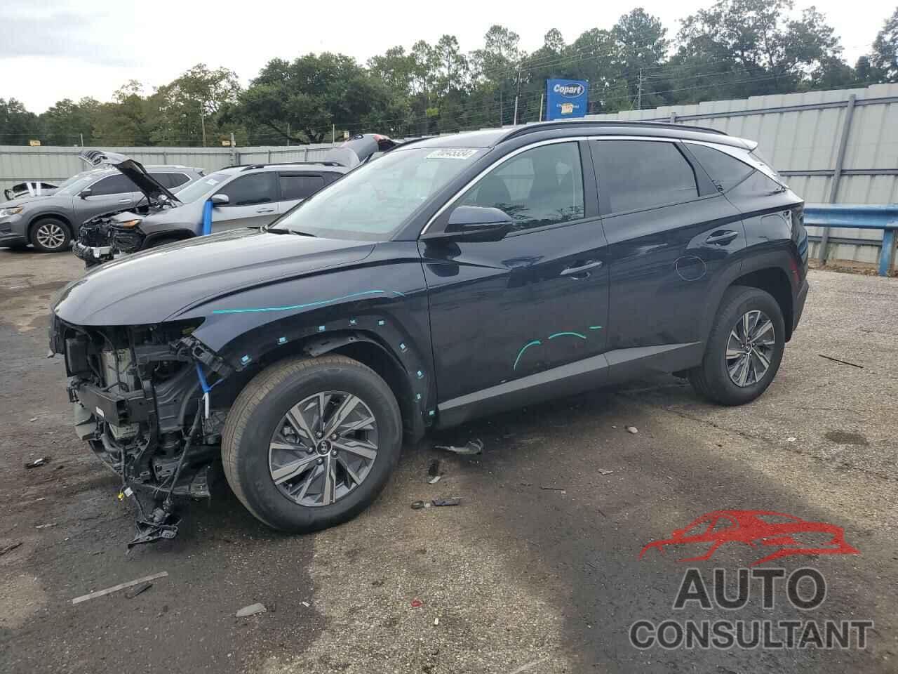 HYUNDAI TUCSON 2023 - KM8JBCA15PU098688