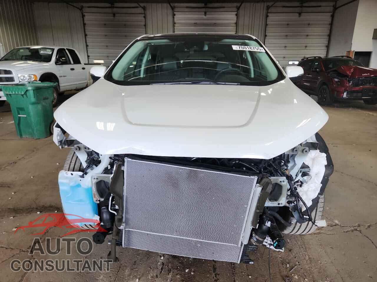 FORD EDGE 2024 - 2FMPK4K95RBA35393