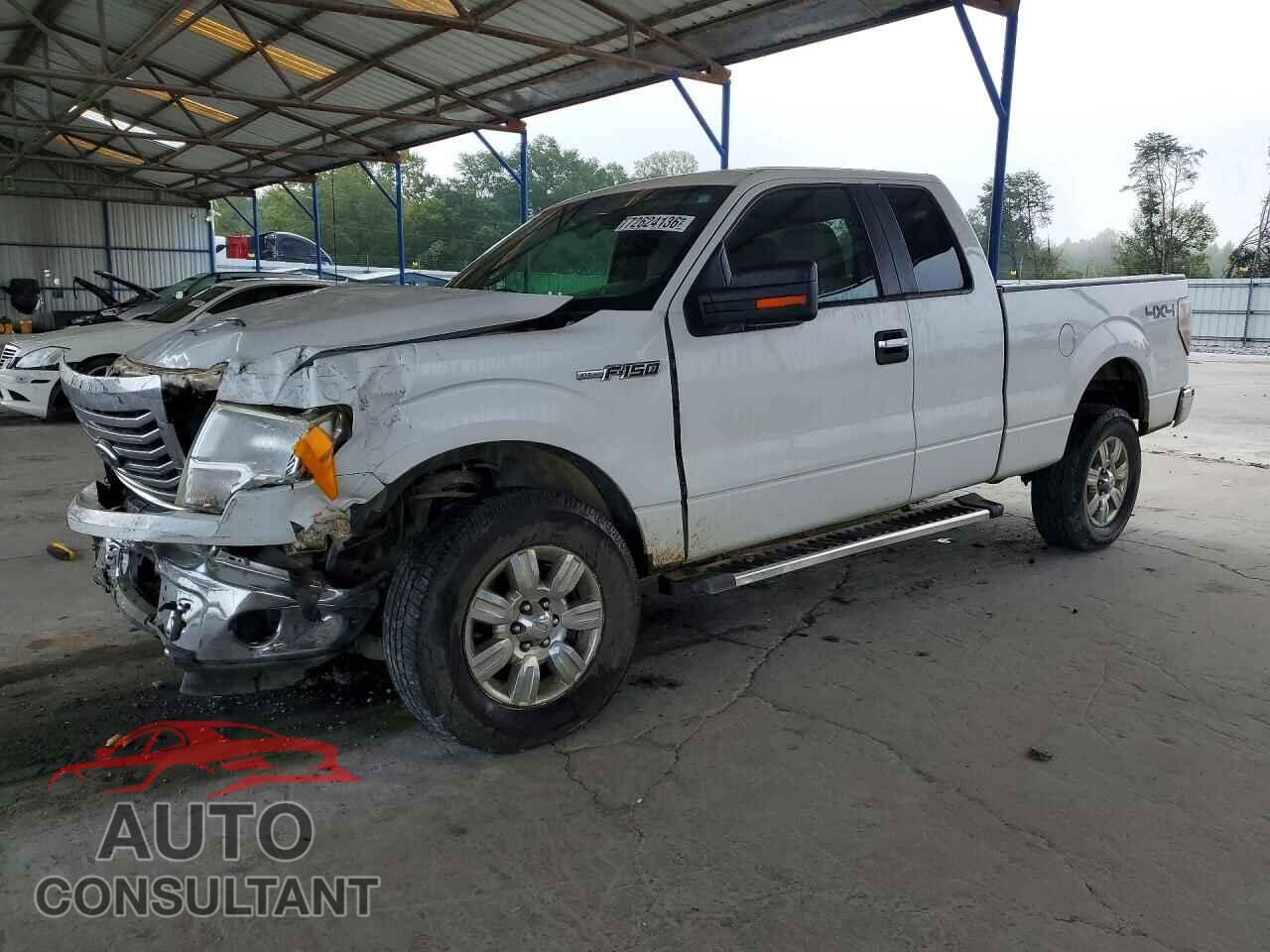FORD F150 2010 - 1FTFX1EV6AFD83781