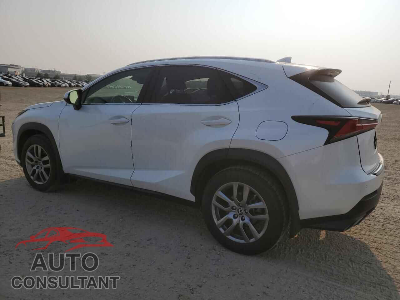 LEXUS NX 2019 - JTJBARBZ3K2199295