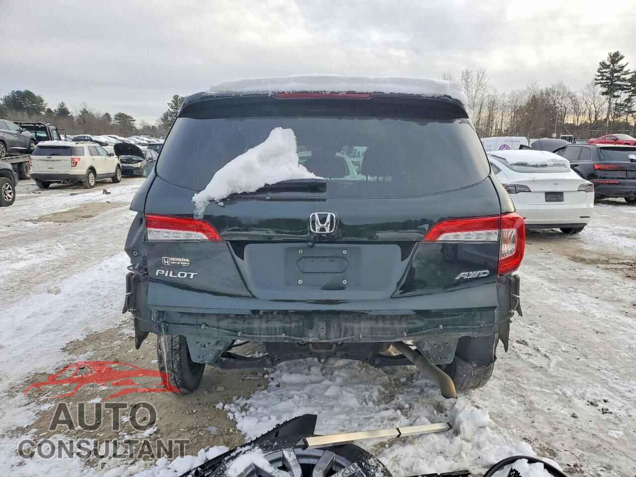 HONDA PILOT 2019 - 5FNYF6H54KB048285