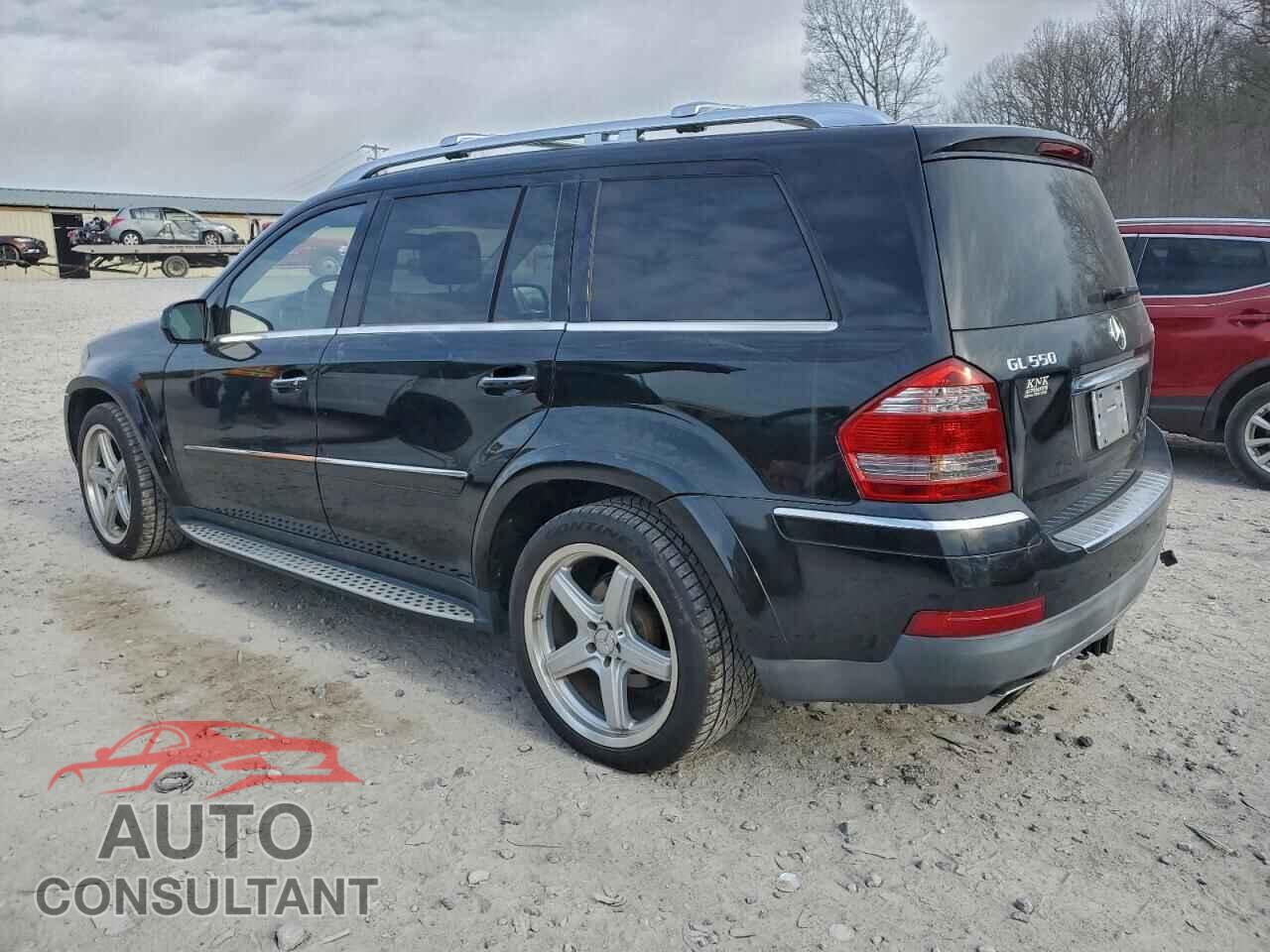 MERCEDES-BENZ GL-CLASS 2009 - 4JGBF86E09A449741