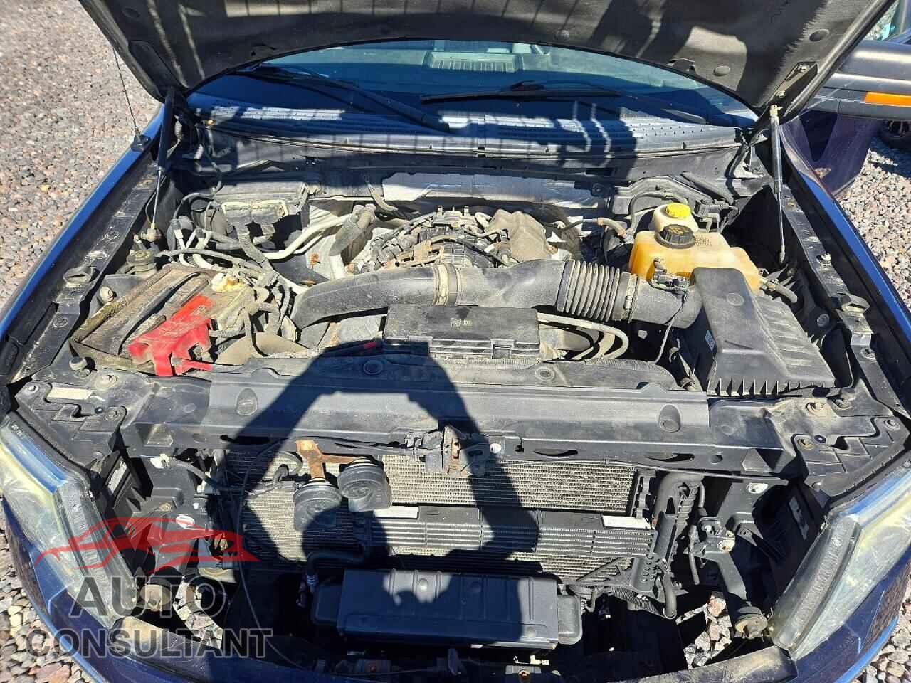 FORD F150 2014 - 1FTFX1ET3EFA83278