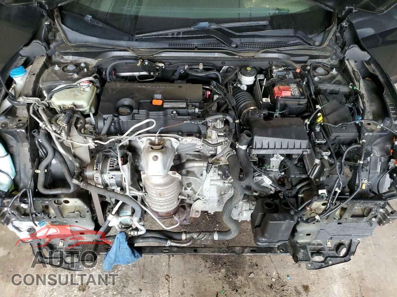 HONDA CIVIC 2019 - 2HGFC2F88KH514656