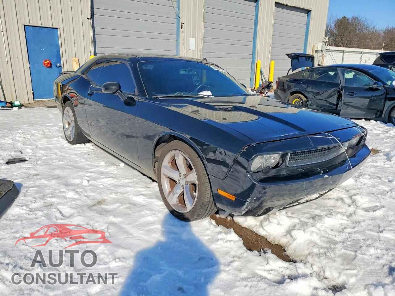 DODGE CHALLENGER 2013 - 2C3CDYAG3DH663225