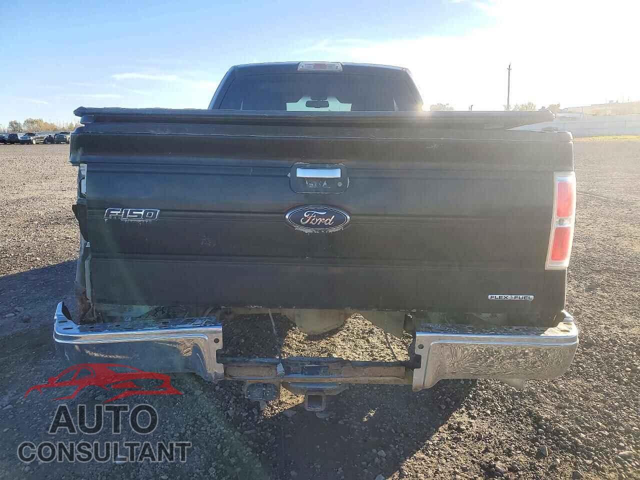 FORD F150 2010 - 1FTFX1EV2AFD81588