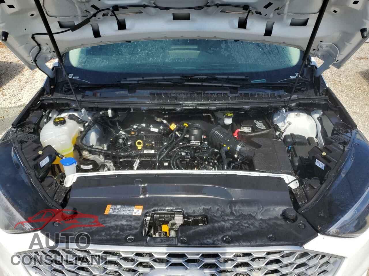 FORD EDGE 2024 - 2FMPK4J92RBA71446