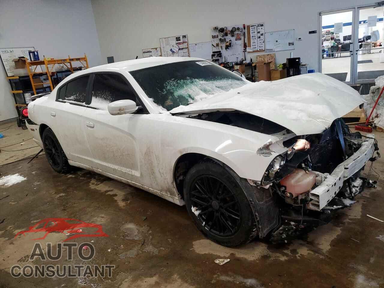 DODGE CHARGER 2013 - 2C3CDXAG9DH694747