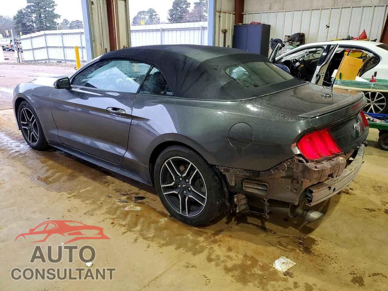 FORD ALL Models 2019 - 1FATP8UH5K5159146