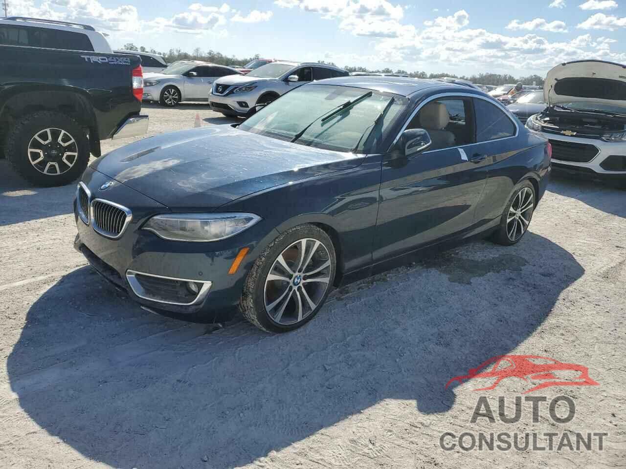 BMW 2 SERIES 2016 - WBA1F9C5XGV545230