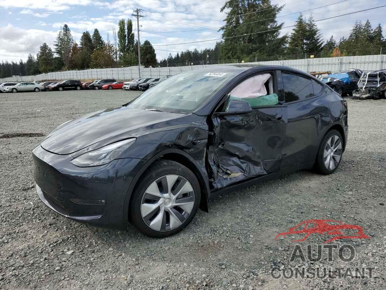 TESLA MODEL Y 2024 - 7SAYGDEE7RF088430