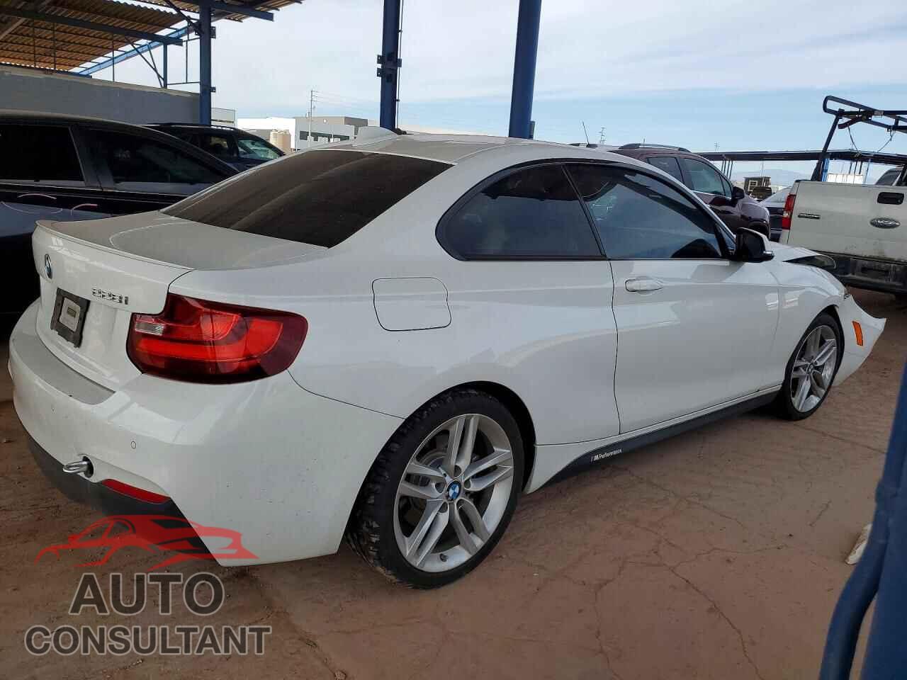 BMW 2 SERIES 2016 - WBA1F9C59GV546658